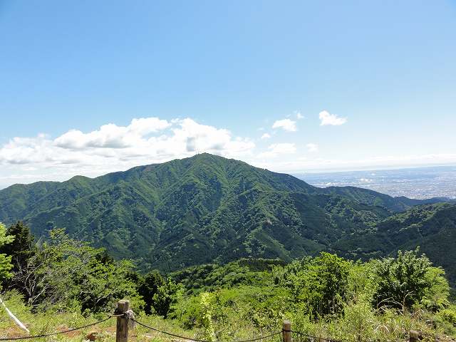 丹沢表尾根縦走ルートから眺める大山