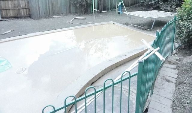 洪水後の庭