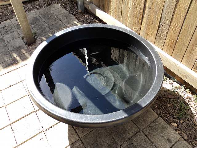 庭に池をつくるための容器。内径1メートル弱