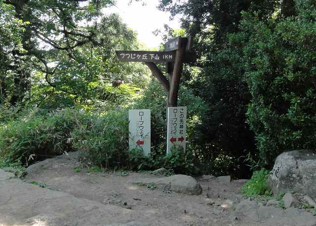 筑波山白雲橋コース弁慶茶屋跡