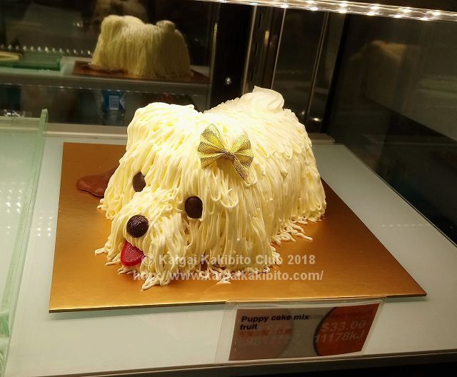 オーストラリアの犬のケーキ