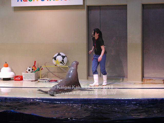 アクアパーク品川