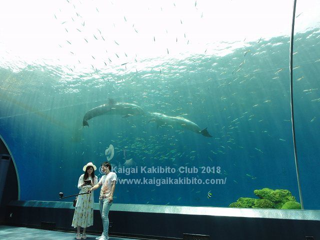 八景島シーパラダイス