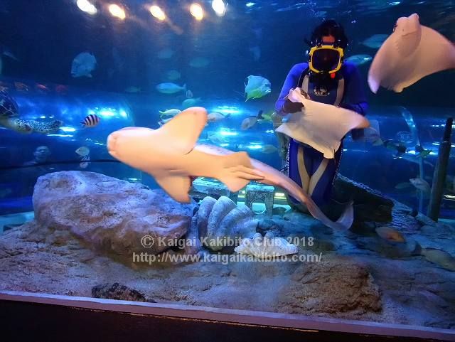 しながわ水族館