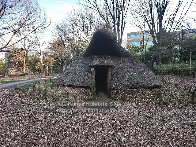 東京都埋蔵文化財センターの竪穴式住居