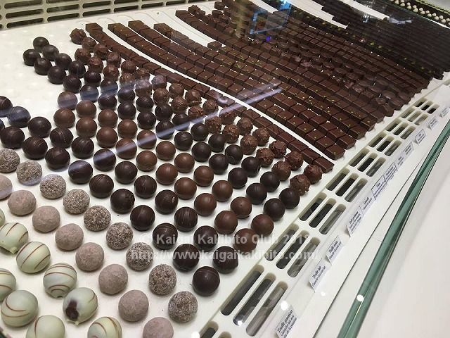 オーバーワイズのチョコレート