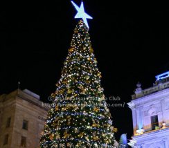 夜のクリスマスツリー