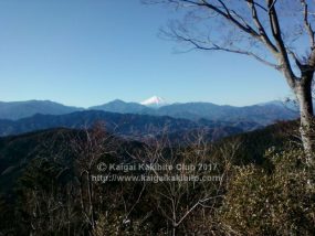 高尾山山頂から富士山方面