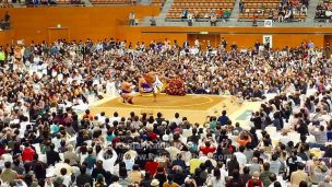 大相撲（写真は地方巡業時のものです）