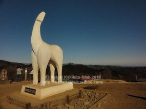 陣馬山山頂