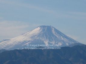 小仏城山からの富士山