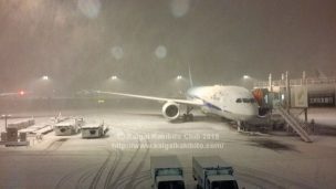 大雪の日の成田空港