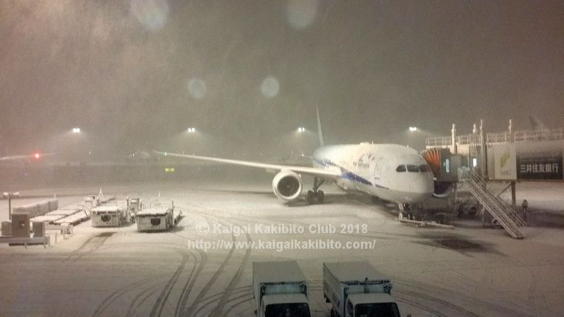 海外在住ライター直伝 大雪で国際線が欠航した 成田空港現地レポート 海外在住ライター直伝 大雪で国際線が欠航した 成田空港現地レポート