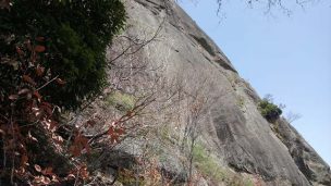 岩殿山登山道