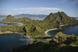 インドネシアのコモド島