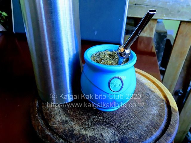 マテ茶