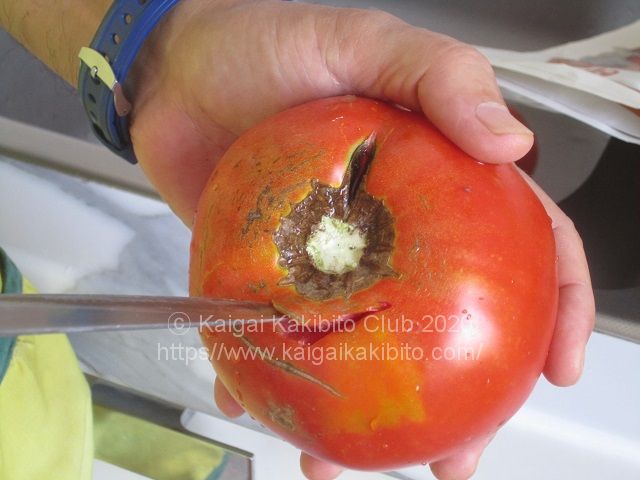 画像に alt 属性が指定されていません。ファイル名: italy-tomato-sauce2.jpg