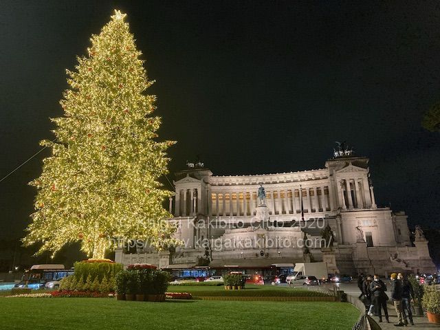 ヴェネツィア広場のクリスマスツリー