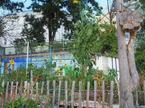ドナウ運河周辺の景色