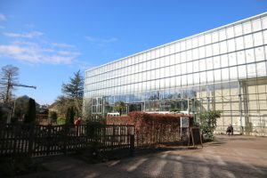 ライデン大学植物園