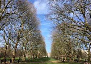 ロンドン最小の王立公園「グリーン・パーク」