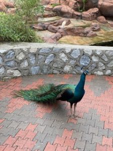KLバードパーク