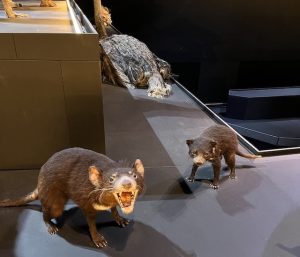 「ナチュラリス」 の展示
