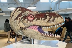 ロイヤル・ティレル古生物学博物館