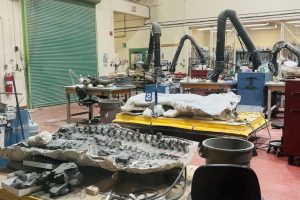 ロイヤル・ティレル古生物学博物館