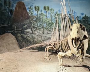 ロイヤル・ティレル古生物学博物館