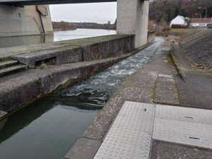 カヤックで滑るウォータースライダー